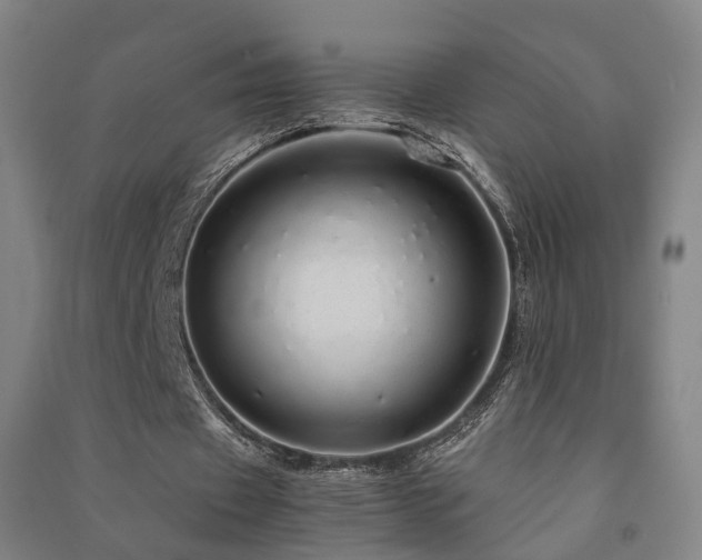 X0000091490433200708161441