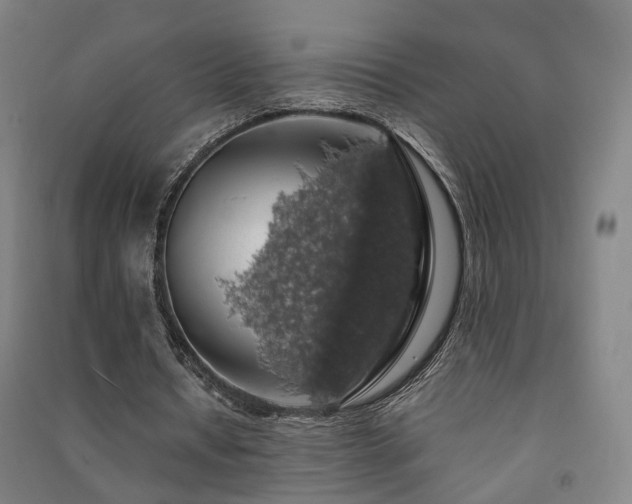 X0000091490434200708161442