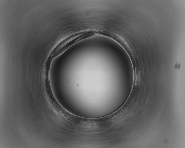 X0000091490435200708161442