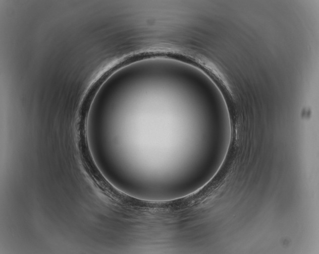 X0000091490436200708161442