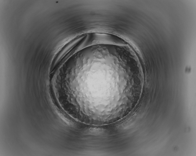 X0000091490437200708161442