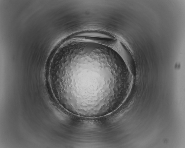 X0000091490439200708161442