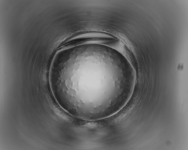 X0000091490441200708161442