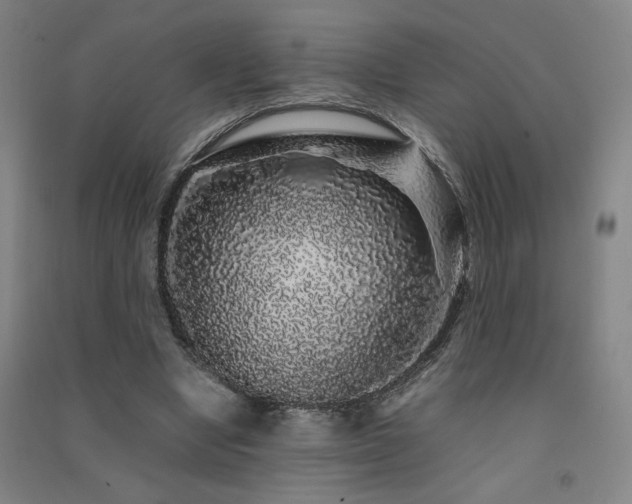 X0000091490442200708161442