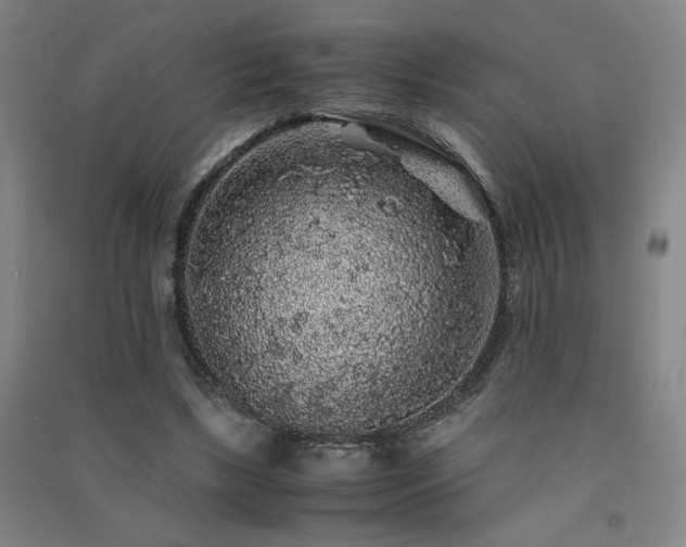 X0000091490443200708161442
