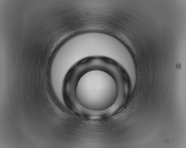 X0000091490444200708161442