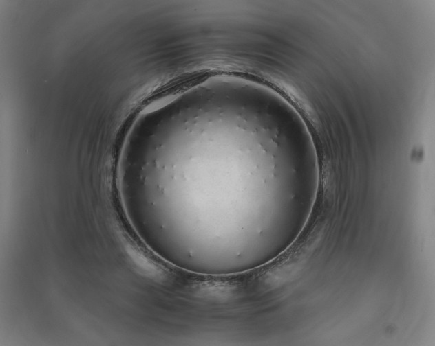 X0000091490445200708161442