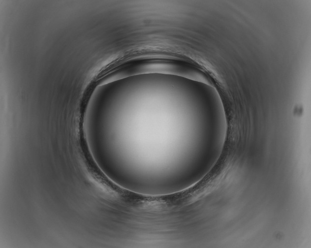 X0000091490446200708161442