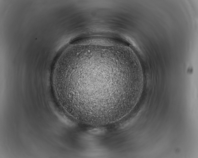 X0000091490447200708161442