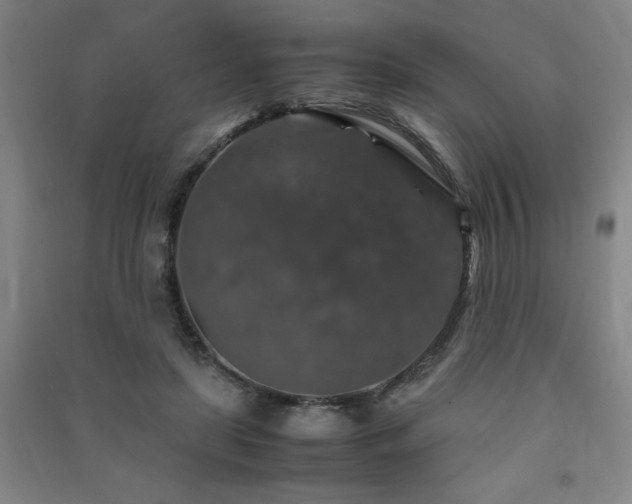 X0000091490451200708161442
