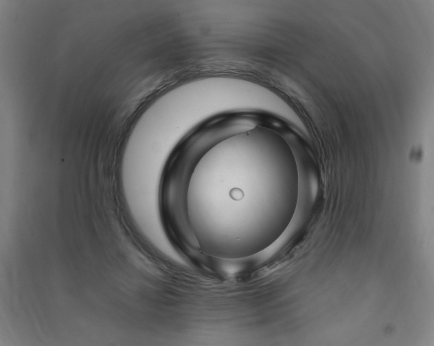 X0000091490452200708161442