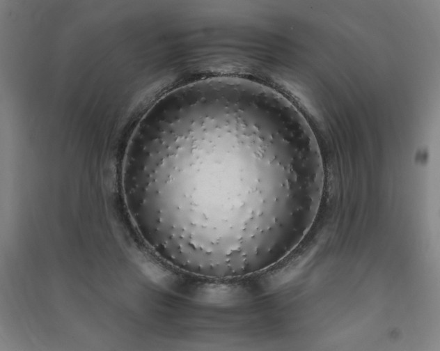 X0000091490453200708161442