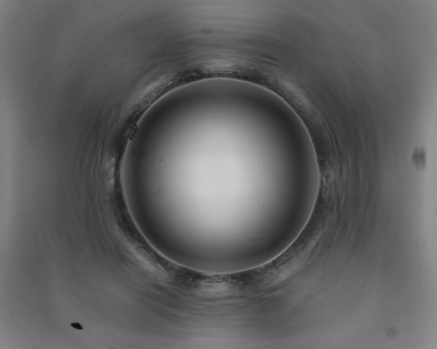 X0000091490454200708161442