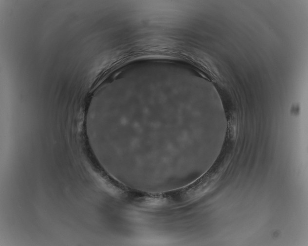 X0000091490458200708161442