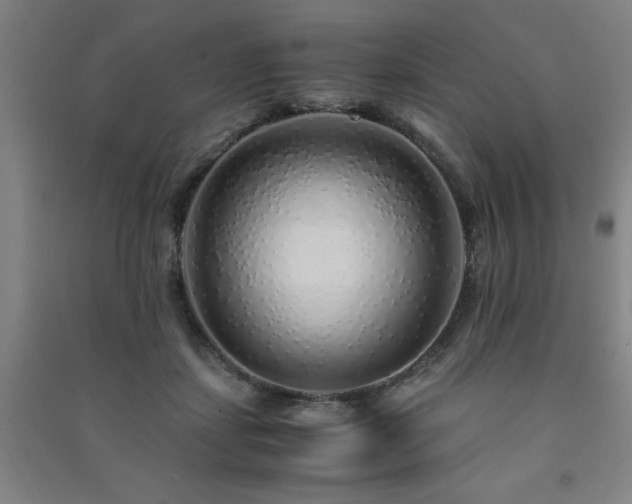 X0000091490459200708161442