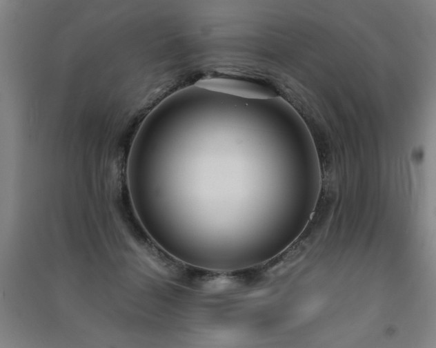 X0000091490460200708161442