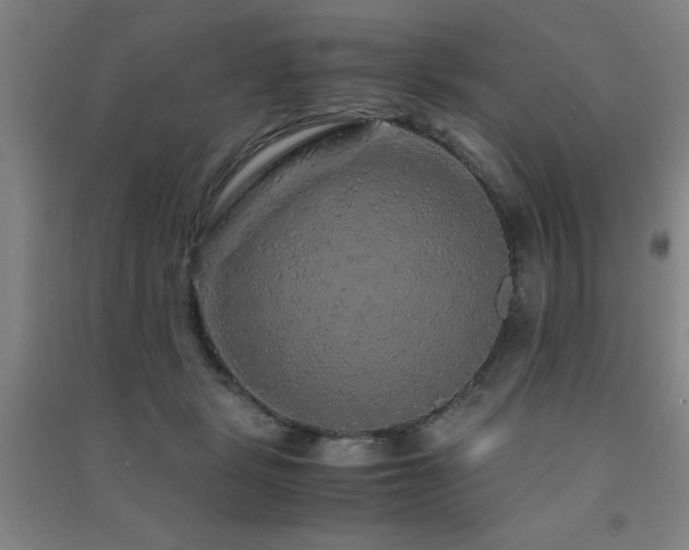 X0000091490461200708161442