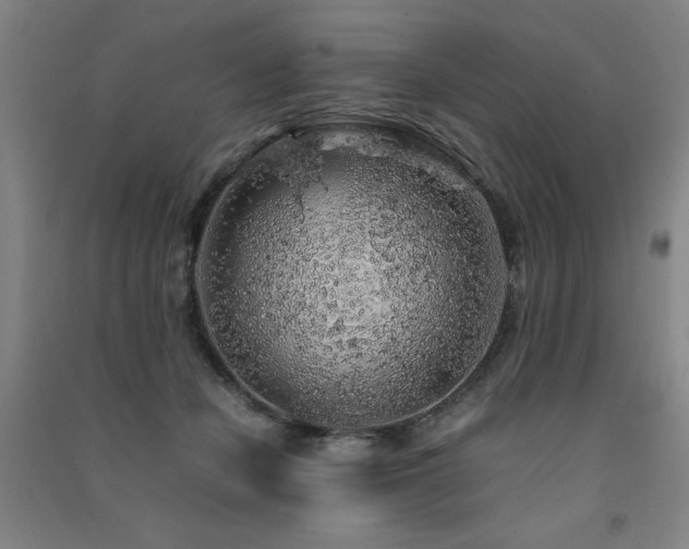 X0000091490462200708161442