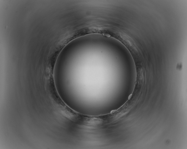 X0000091490463200708161442