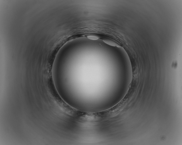 X0000091490464200708161442