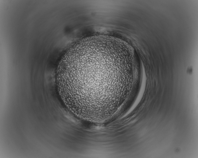 X0000091490466200708161442