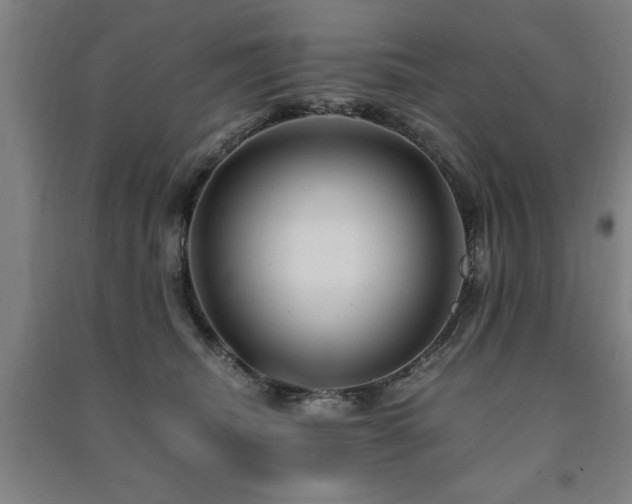 X0000091490468200708161442