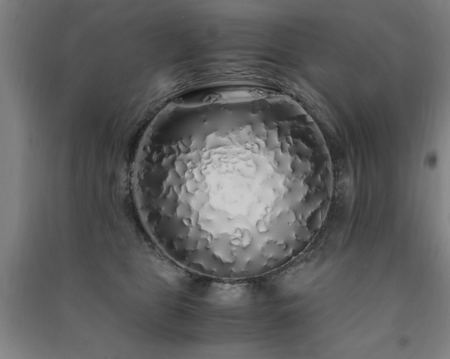 X0000091490469200708161442
