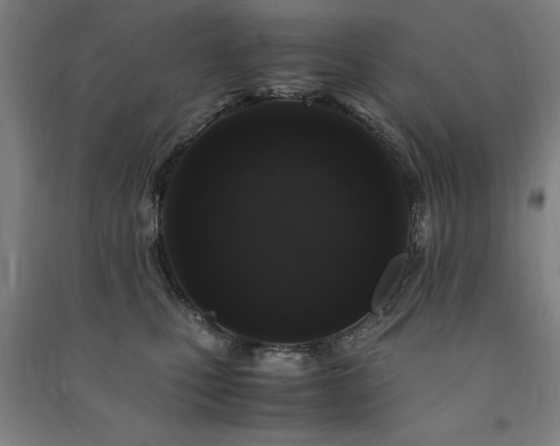 X0000091490471200708161442