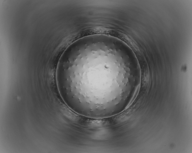 X0000091490473200708161442