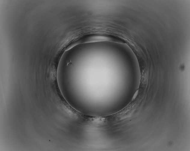 X0000091490474200708161442