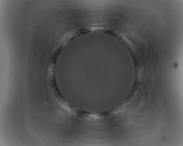 X0000091490475200708161442