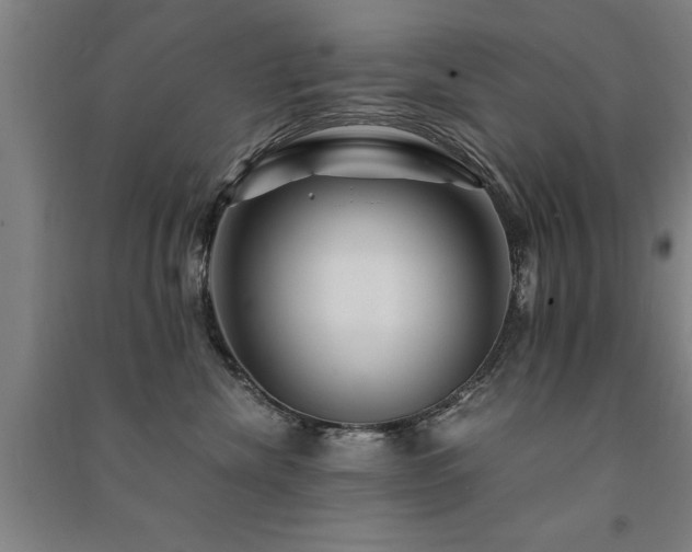X0000091490476200708161442