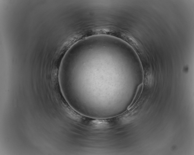X0000091490477200708161442