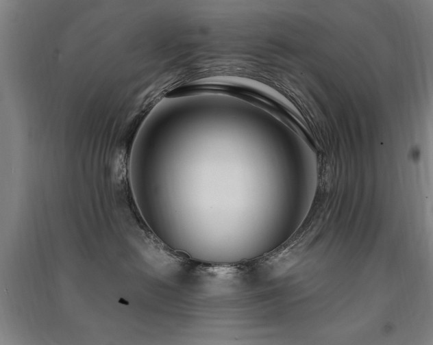 X0000091490478200708161442