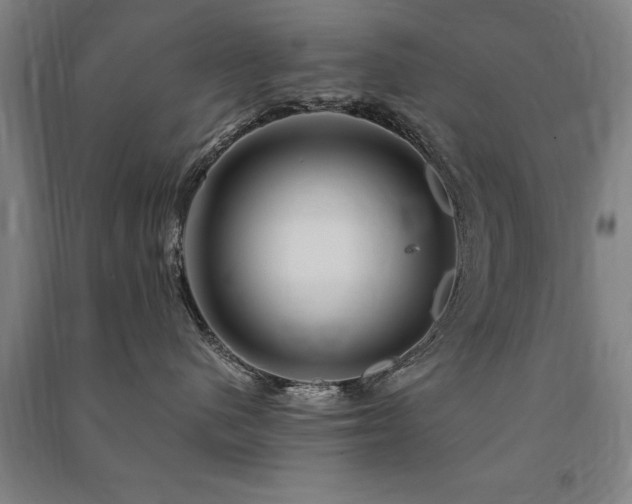 X0000091490480200708161442
