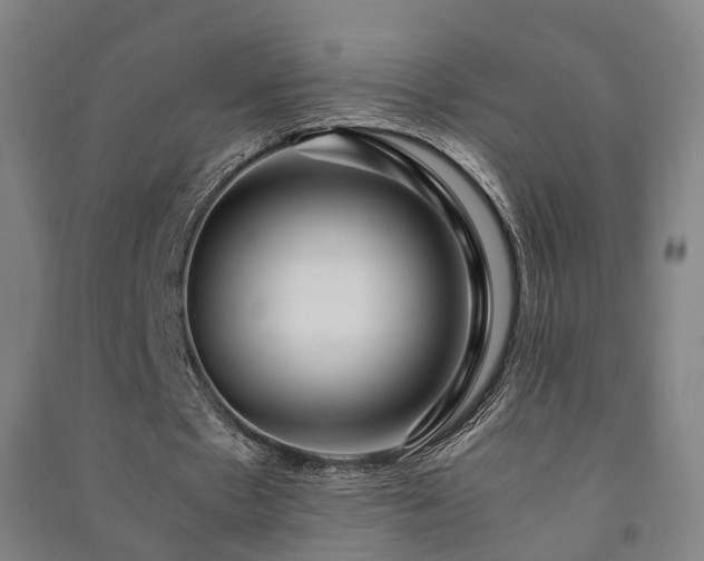 X0000091490481200708161441