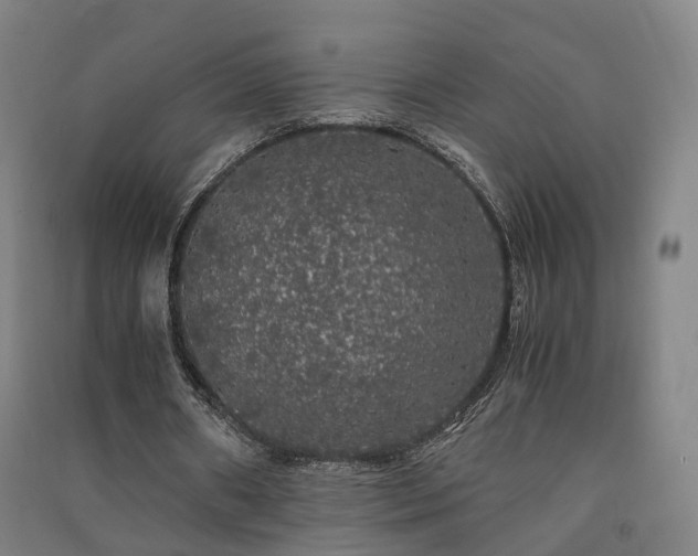 X0000091490482200708161441