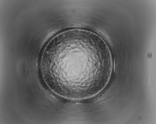 X0000091490483200708161441