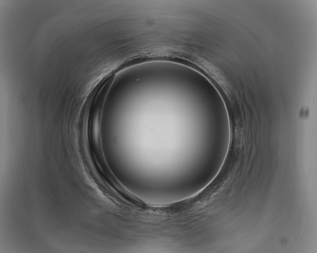 X0000091490485200708161441