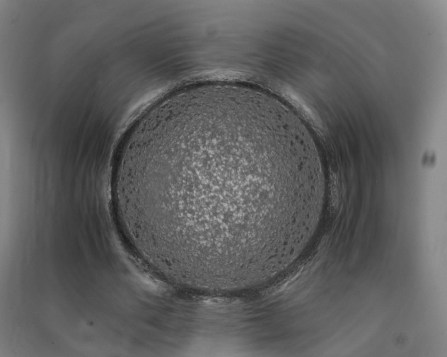 X0000091490486200708161441