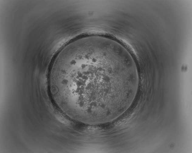 X0000091490487200708161441