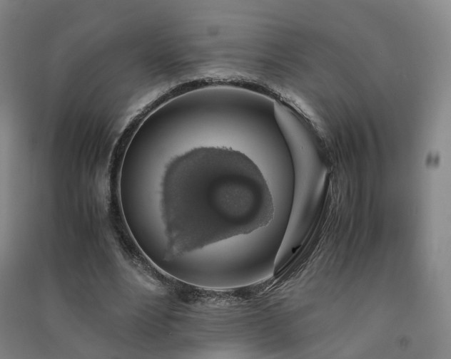 X0000091490488200708161441