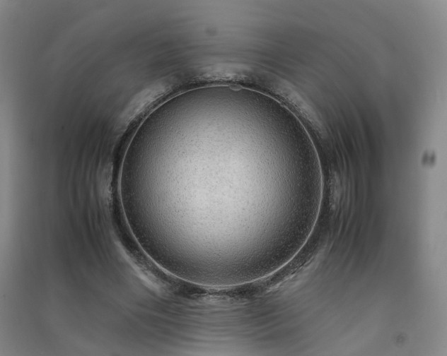X0000091490490200708161441
