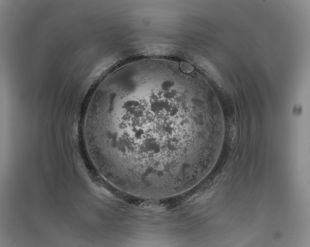 X0000091490491200708161441
