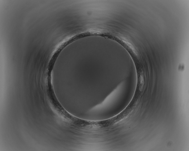 X0000091490492200708161441