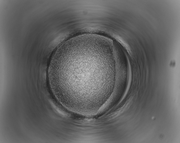 X0000091490493200708161441