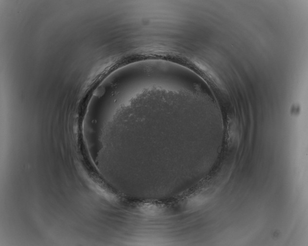X0000091490494200708161441