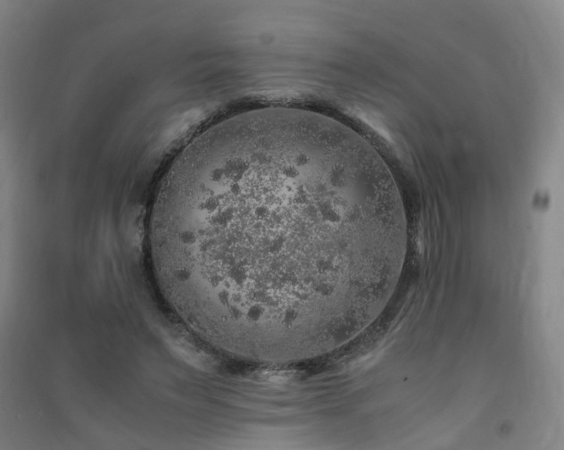 X0000091490495200708161441