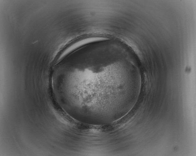 X0000091490496200708161441