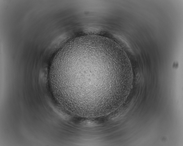 X0000091490498200708161441